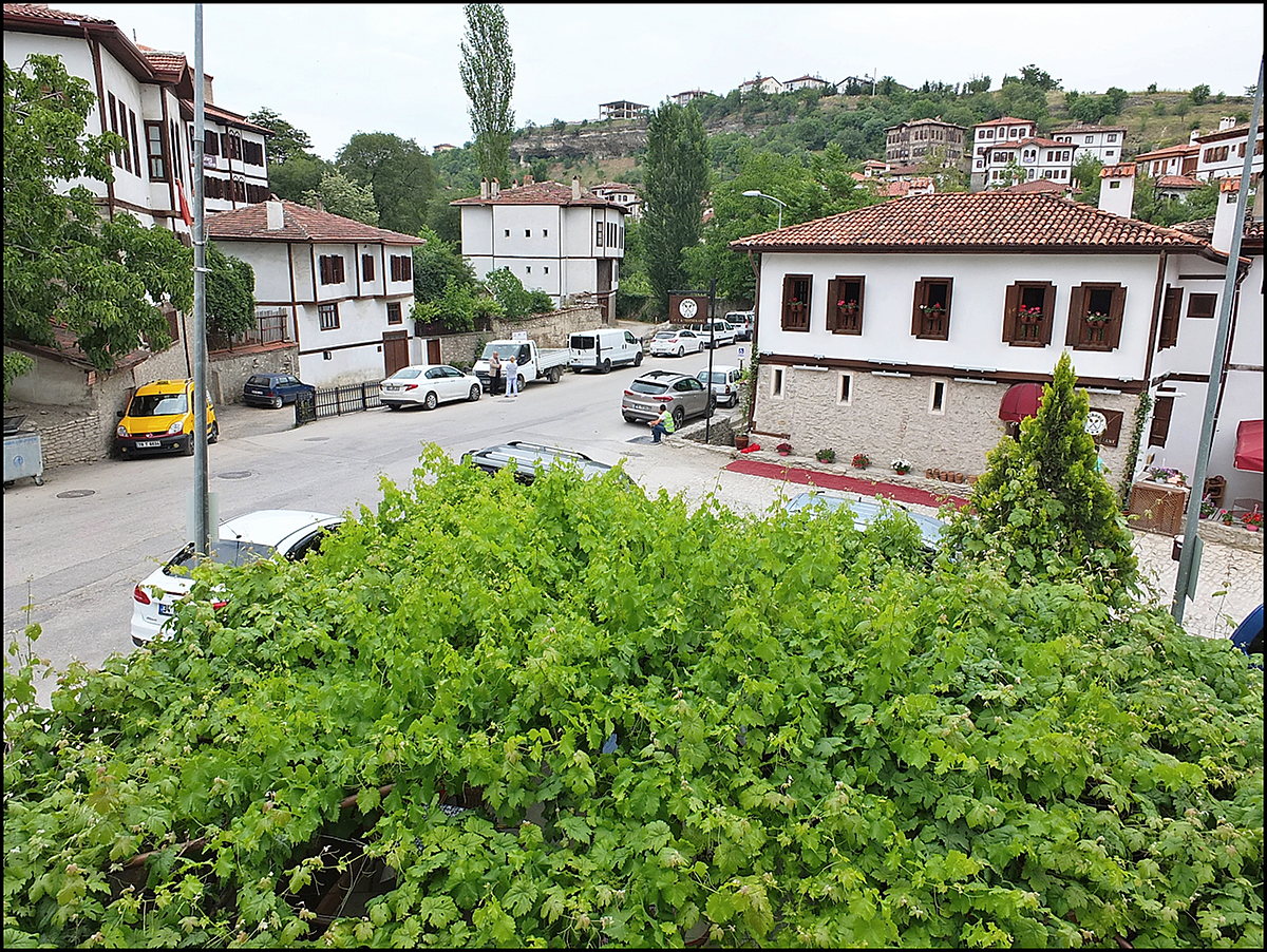 Konağın önündeki asma ve Safranbolu sokağı